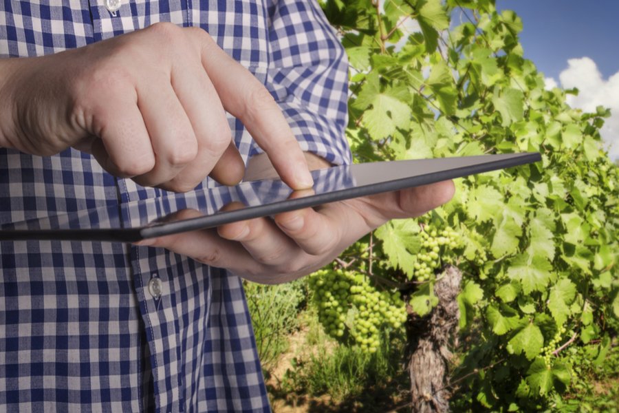 Consulenti e Associazioni Registro telematico vini