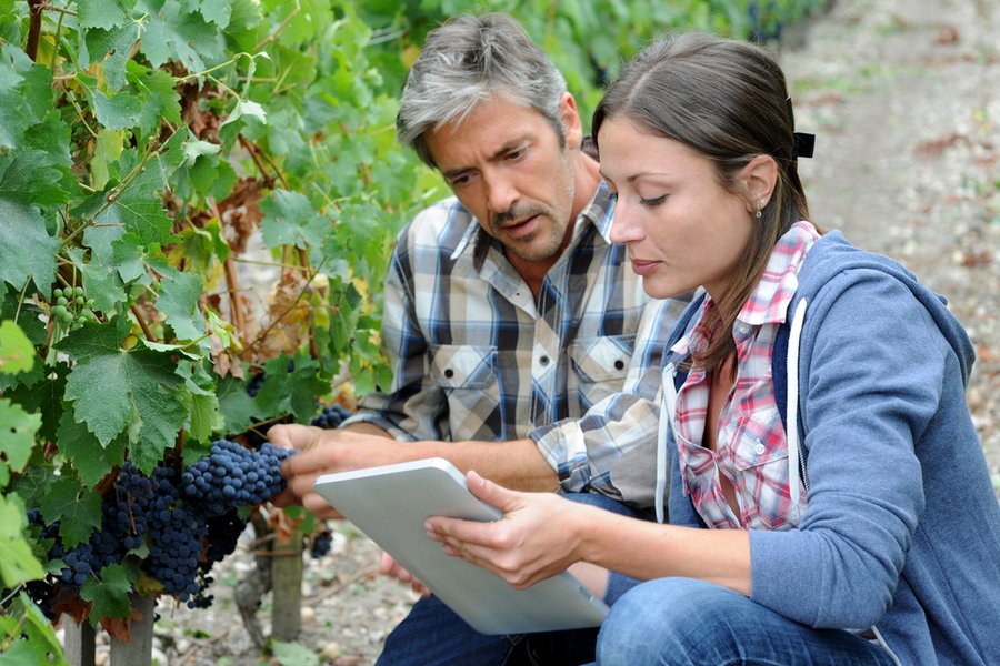 Consulenti e Associazioni Vinificazione